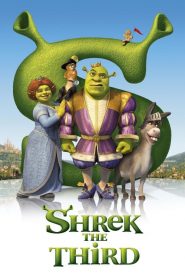 SHREK THE THIRD (2007) เชร็ค ภาค 3